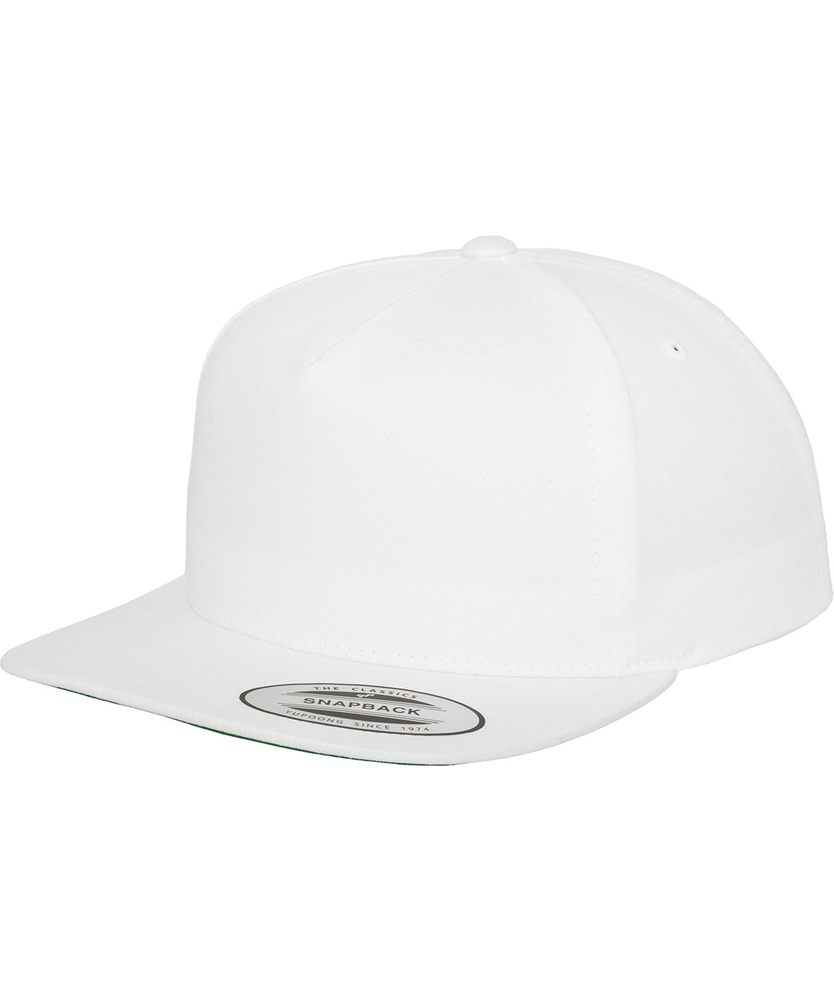 Classic 5-panel snapback (6007) | YP019