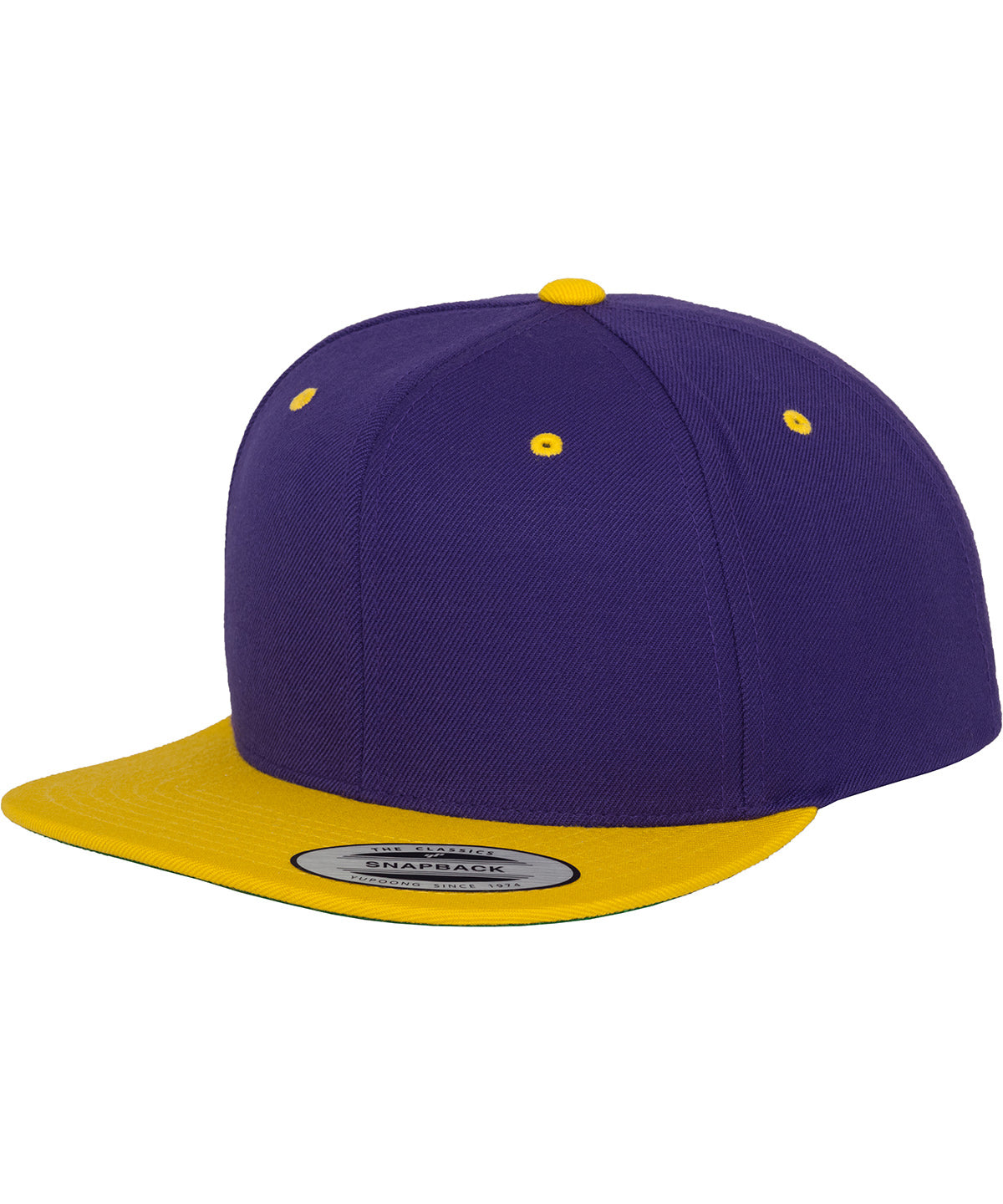 The classic snapback 2-tone  (6089MT) | YP002